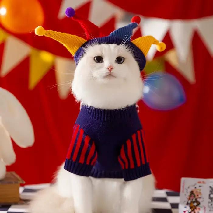 Mignon chien pull hiver