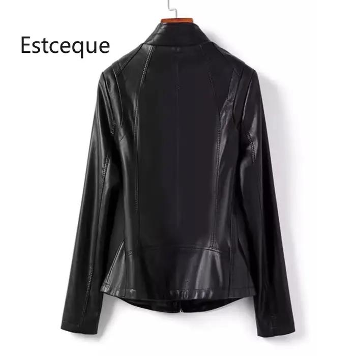 Nouveau printemps automne femmes manteau de peau de mouton 2025 cuir veste coréenne femme col montant couverture
