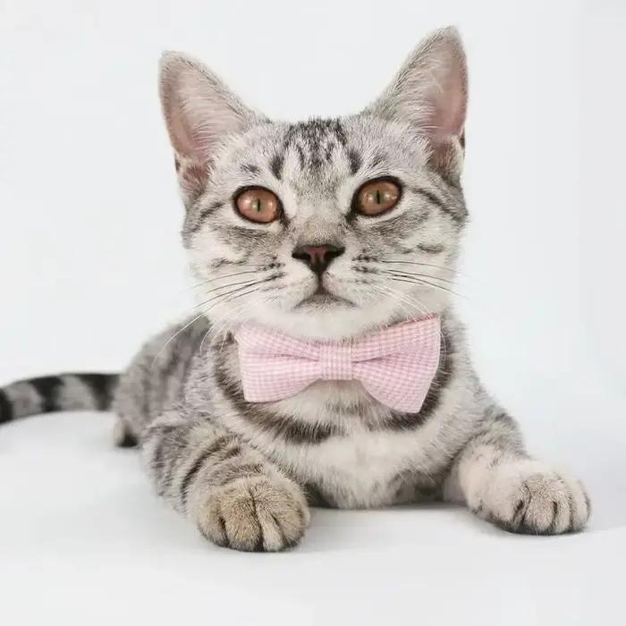 Collier pour chat mignon avec nœud papillon, Design réglable, pour chiens, chats, chiots, fournitures pour animaux de compagnie